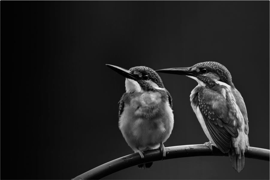 Q1 2025 Webinar Slides