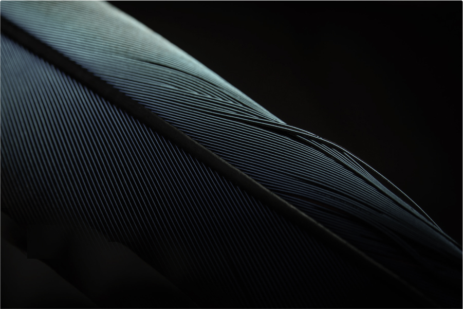 Q1 2025 Webinar – Replay