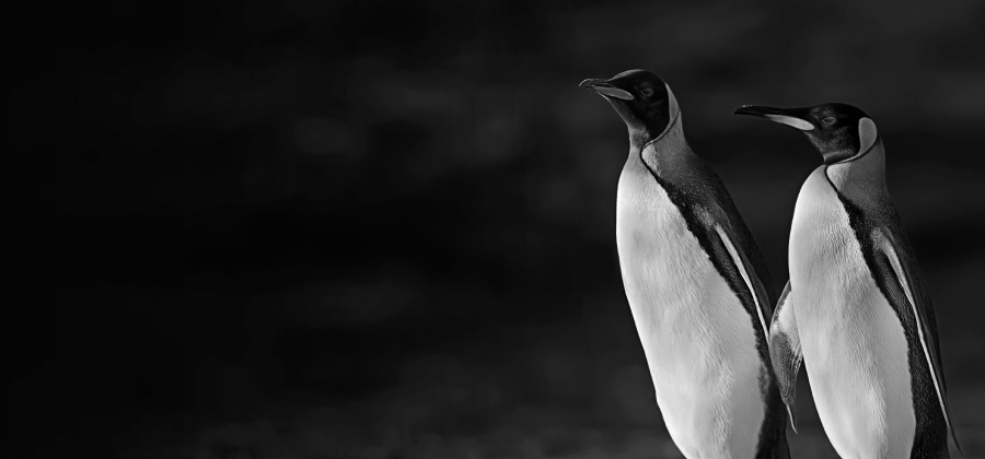 Feat Financial Calendar