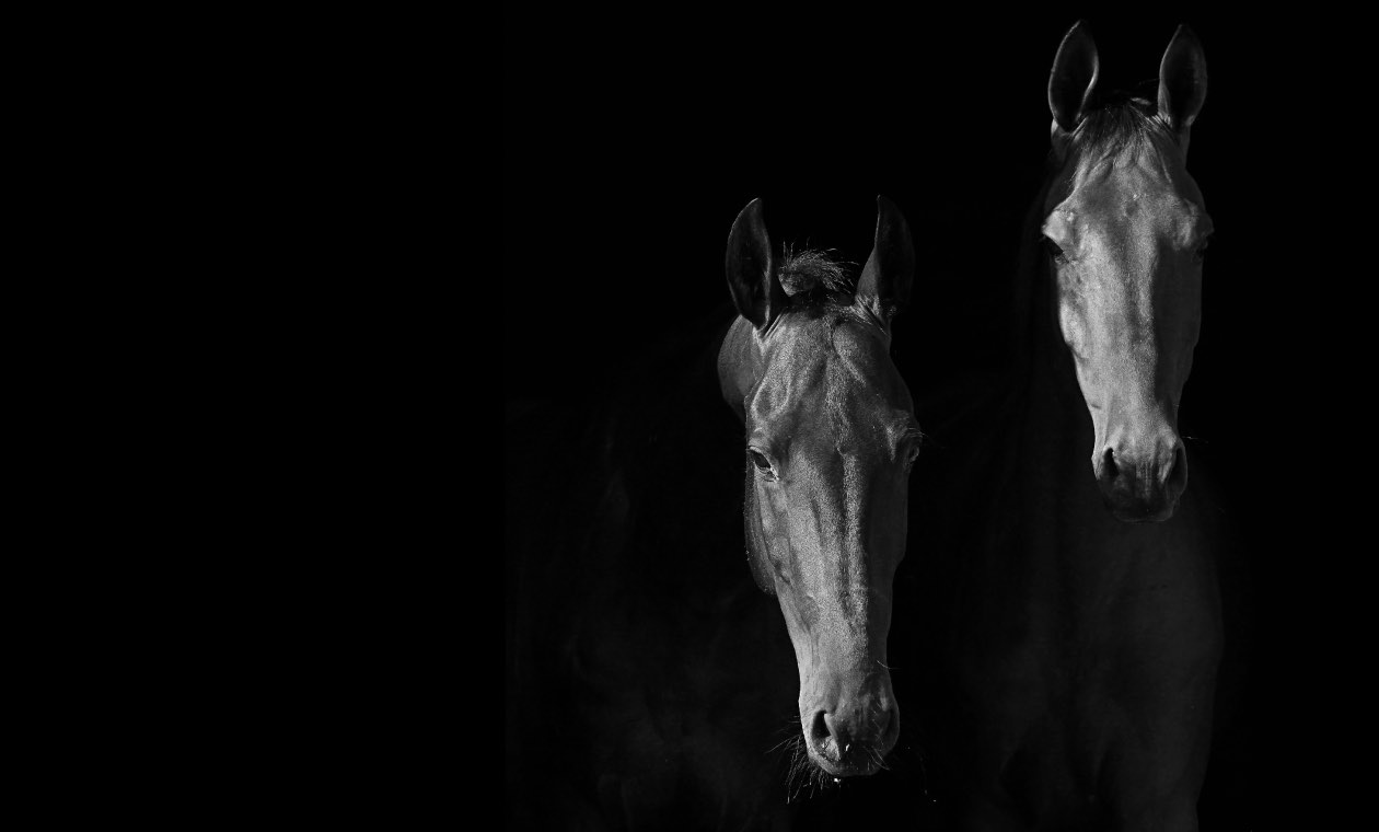 Video Asset Allocation Cgt